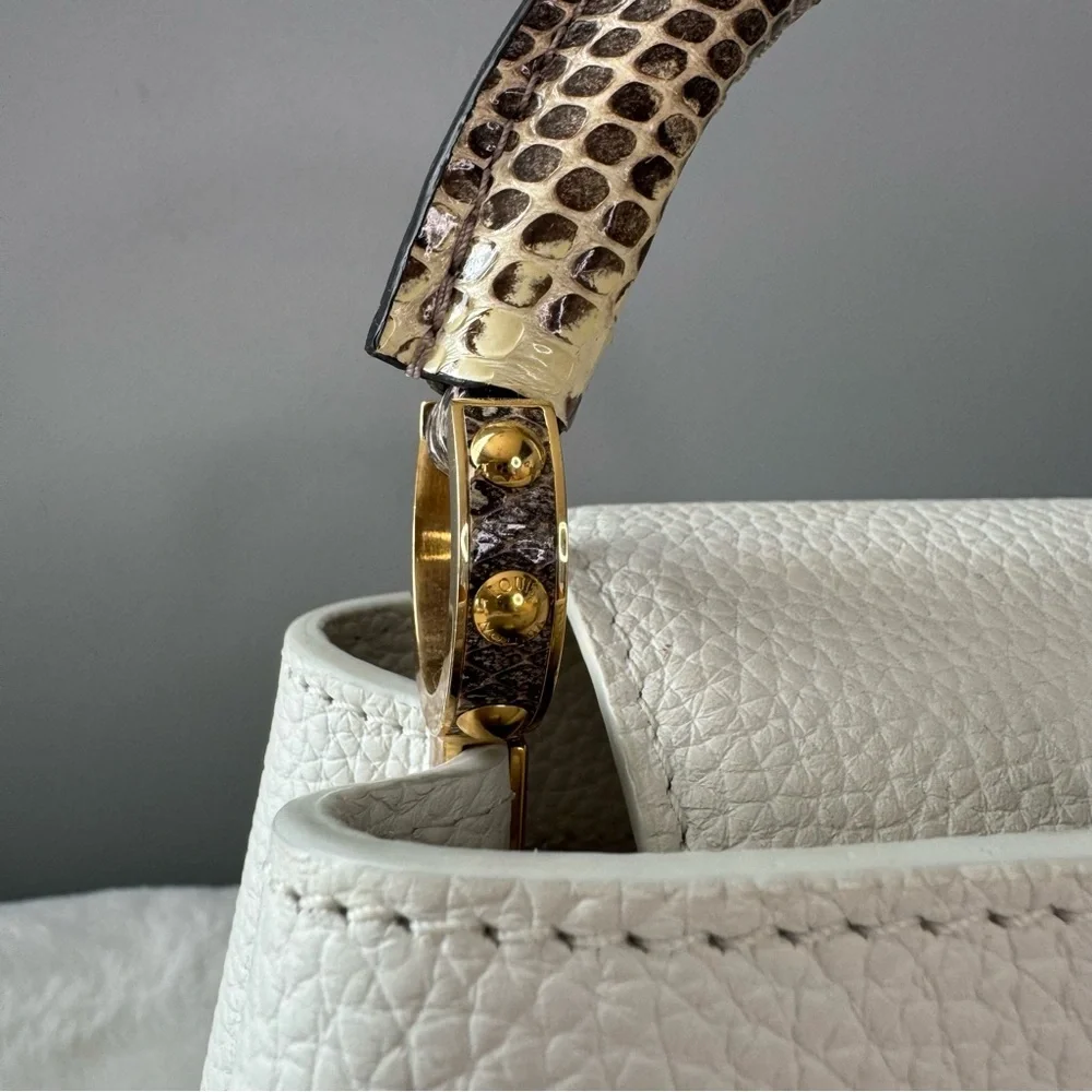 Louis Vuitton Taurillon & Python Leather Capucines Mini Handbag - Picture 4 of 16